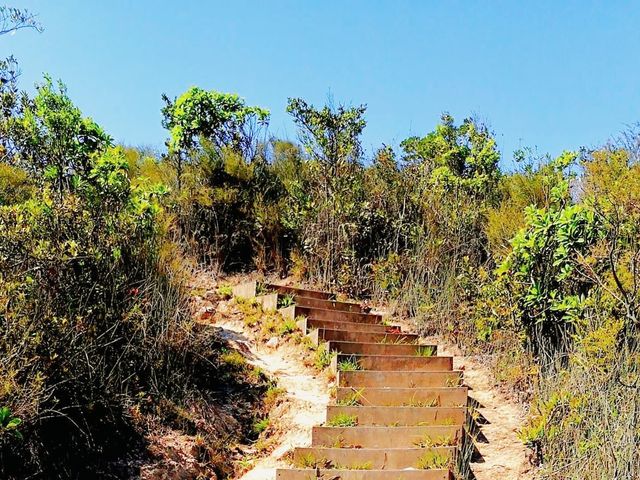 橋咀洲