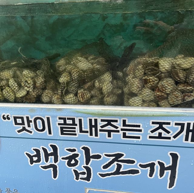 청계산에서 만나는 동충하초 “디안만두전골”