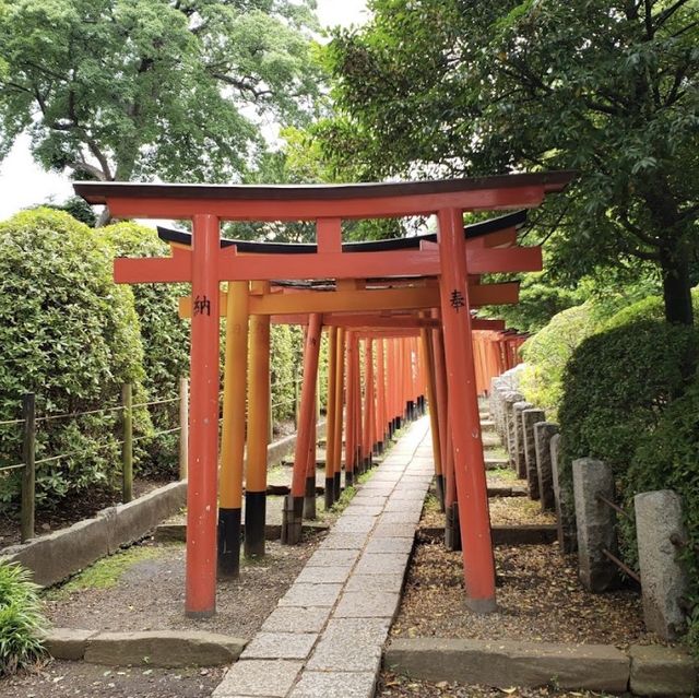 Nezu Shrine 