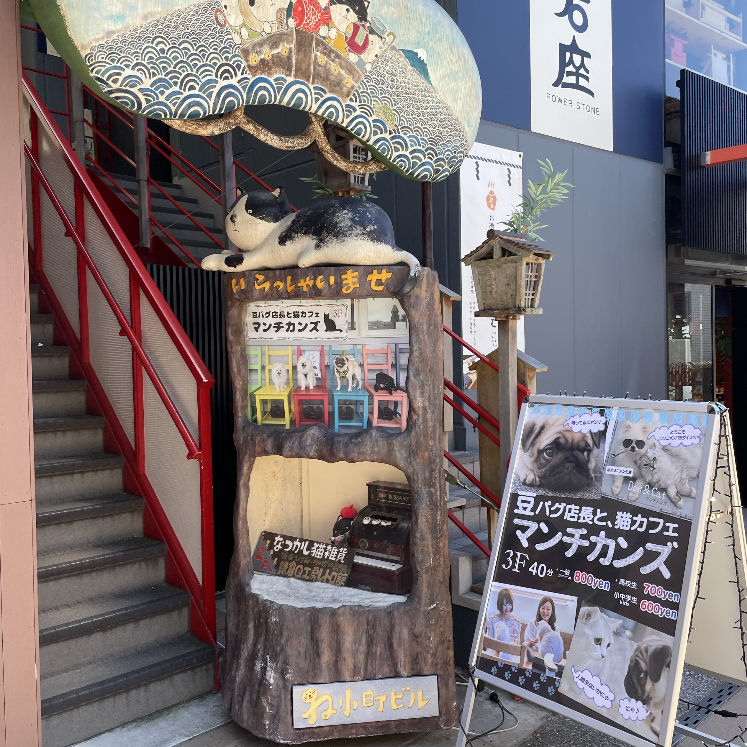 鎌倉小町通り 犬猫カフェマンチカンズで癒されよう Trip Com 鎌倉の旅のブログ