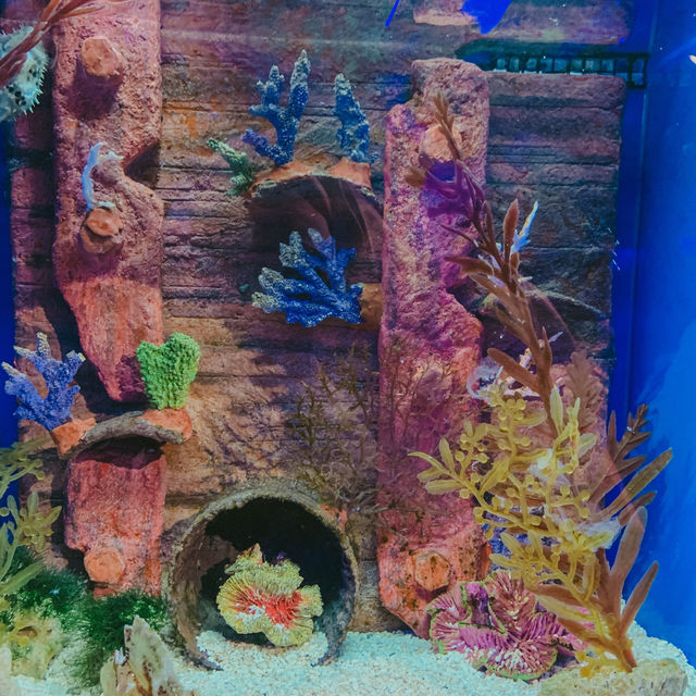 Aquaria Love!