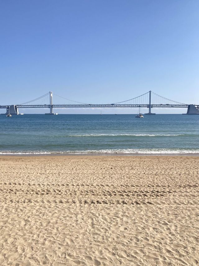 부산여행 필수코스