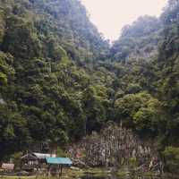 Nature meets culture, Ipoh