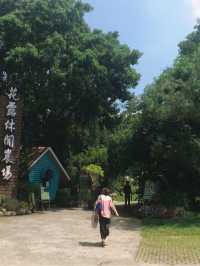 卓蘭山林間的花卉園區 花露農場 Flower Home