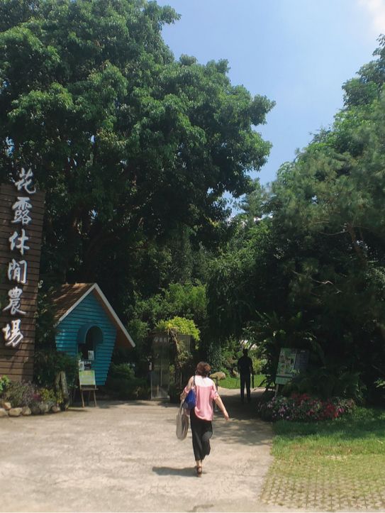卓蘭山林間的花卉園區 花露農場 Flower Home