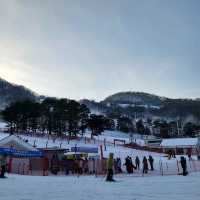 겨울엔 역시 스노보드지... 지산포레스트리조트