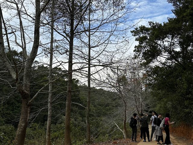「行山」深井唔止淨係食燒鵝！