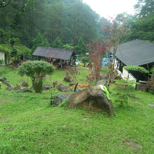 D'JUNGLE PRIVATE CAMP, BOGOR