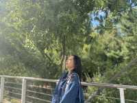 지금 서울숲은🌲