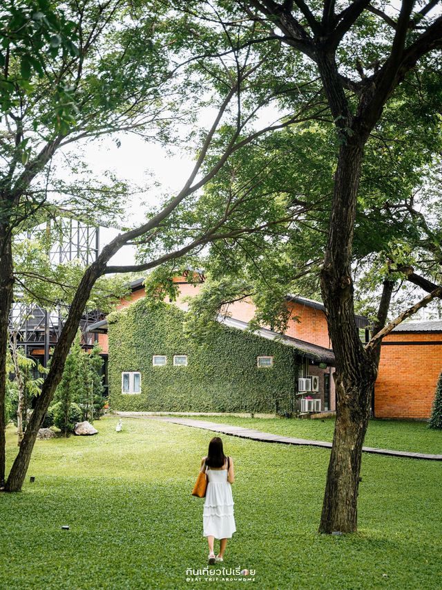 🍃Mulberry Mellow คาเฟ่ในสวนสุดร่มรื่นแห่งเมืองกาญ