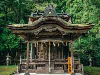 日本一複雑な屋根?! 福井の大瀧神社・岡太神社