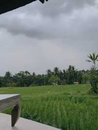 Café In The Middle Of Ubud’s Rice Field