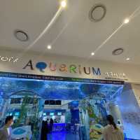 코엑스 아쿠아리움 포토존 살펴보고 가세요~!