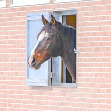 ฟาร์มรีสอร์ทแวร์ซายส์หิมะ