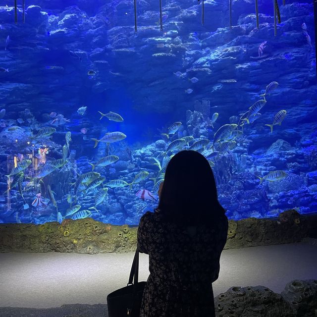 해운대에서 바다친구들과 즐기는 이색데이트