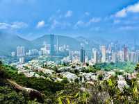 港島劏青蛙