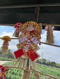 元朗信芯園重開，全新嘅日本🇯🇵主題打卡勝地