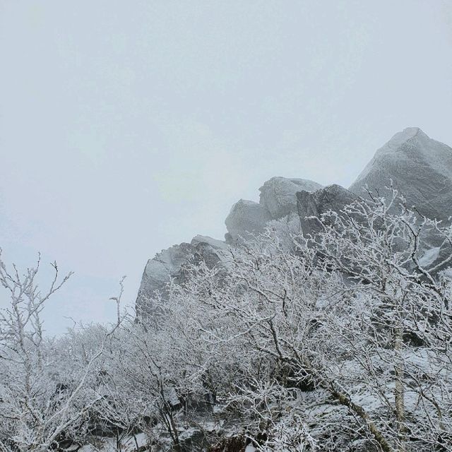 무주 덕유산 곤도라 타고 눈꽃구경!