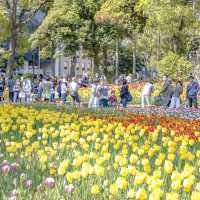 春の横浜公園の散策