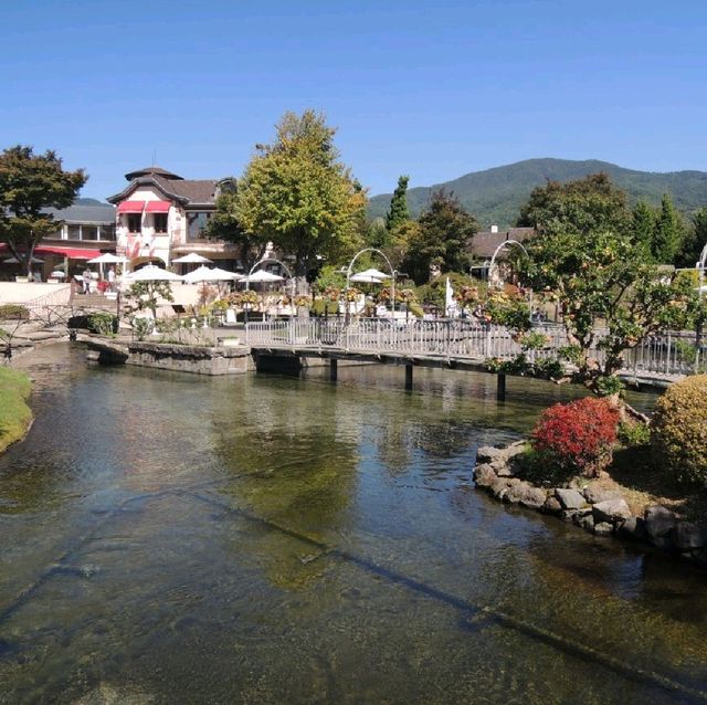 富士山🏔下音🎶🎼主題花園🌳