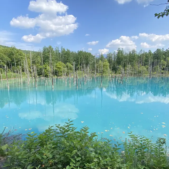 【北海道】どこを撮っても絵になる美しい池