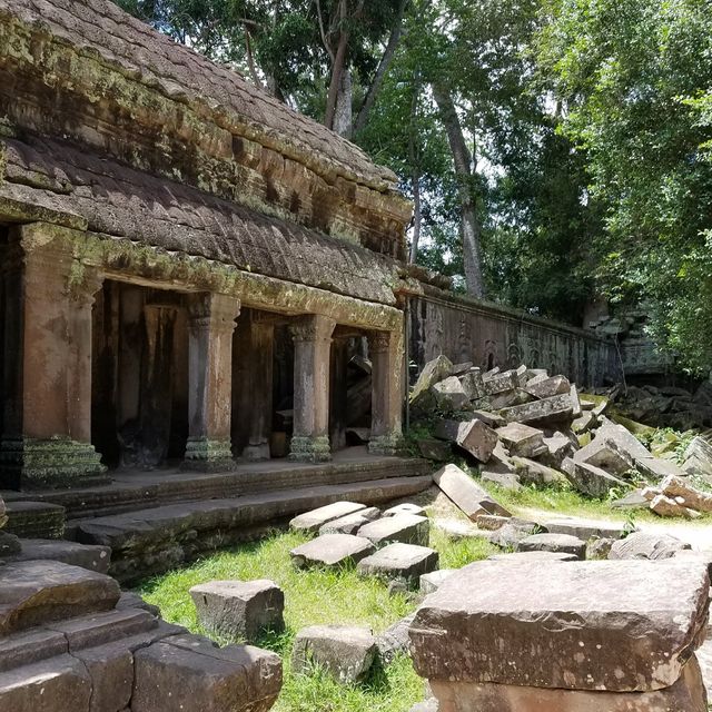【カンボジア・シェムリアップ】巨木に侵食される世界遺産タ・プローム