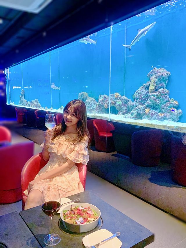中環獨有鯊魚酒吧!食飽先暢飲!  平時去酒吧都黑麻麻, 今次呢間酒吧好特別,有鯊魚BB陪你一齊飲 唔喺剩喺 #IKEA 先有鯊魚㗎🤣 中環Bloop Shisha Lounge 都有鯊魚BB 細細條 中環獨有鯊魚酒吧!食飽先暢飲!  平時去酒吧都黑麻麻, 今次呢間酒吧好特別,有鯊魚BB陪你一齊飲 唔喺剩喺 #IKEA 先有鯊魚㗎🤣 中環Bloop Shisha Lounge 都有鯊魚BB 細細條