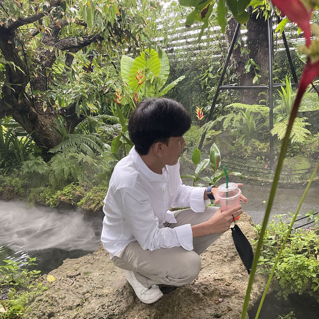 หลงป่าคาเฟ่ อุดรธานี📌