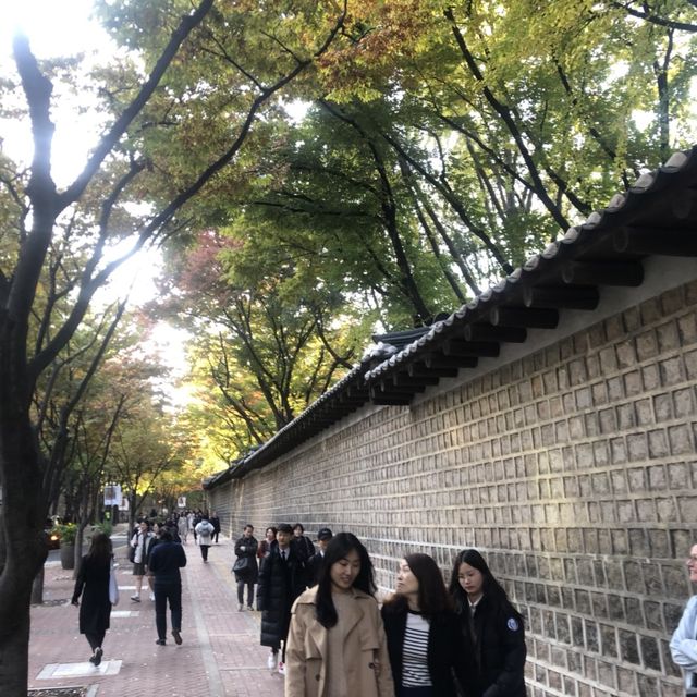 서울 시청 옆 단풍길 나들이_덕수궁 돌담길