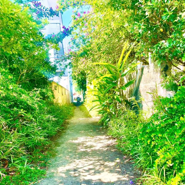 【 沖縄 座間味島】ノスタルジーにお散歩気分✨
