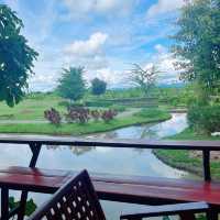 คาเฟ่ชมธรรมชาติ