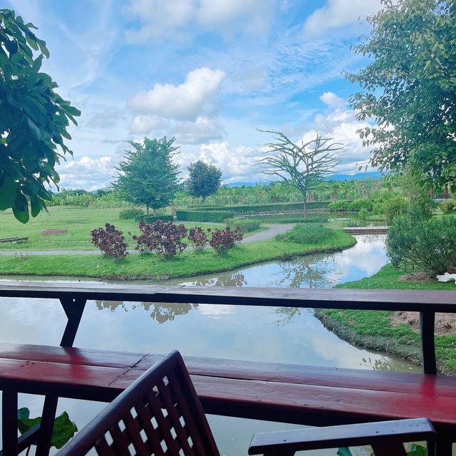 คาเฟ่ชมธรรมชาติ