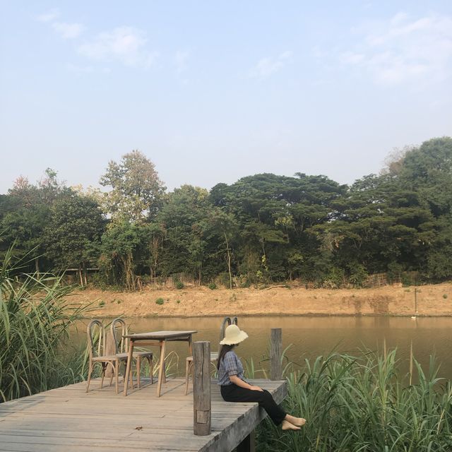 치앙마이 핑강 카페 the baristro&river