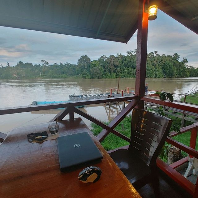 Stay near to forest, Eat near to River