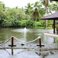 A Healthy Getaway: The Farm at San Benito