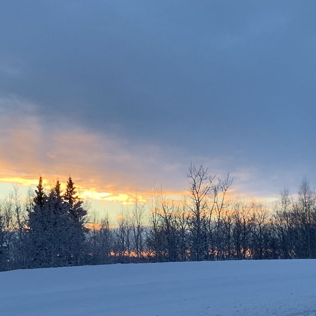 -50 Fahrenheit is very common here