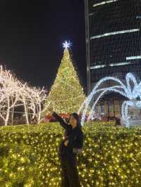 잠실의 월드파크에 크리스마스가 왔어요🎄