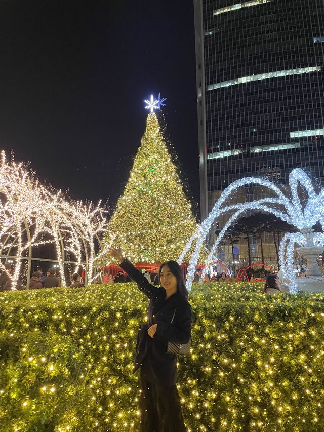 잠실의 월드파크에 크리스마스가 왔어요🎄