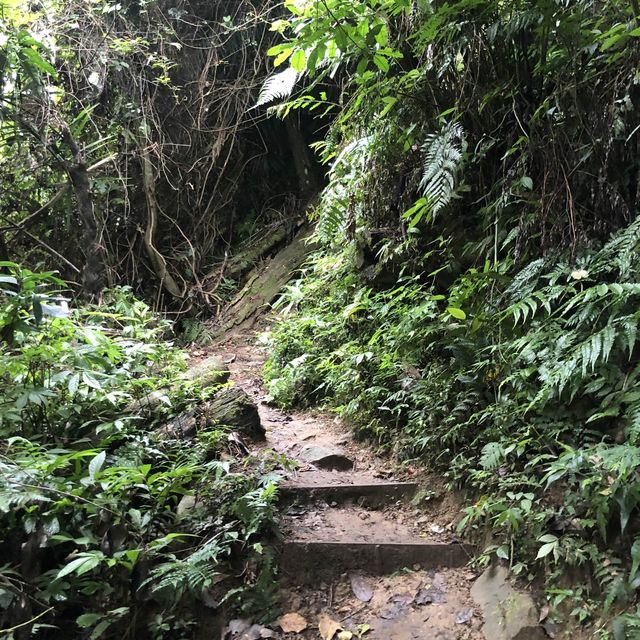 桃園 溪洲山 