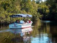 Conservancy of Southwest Florida