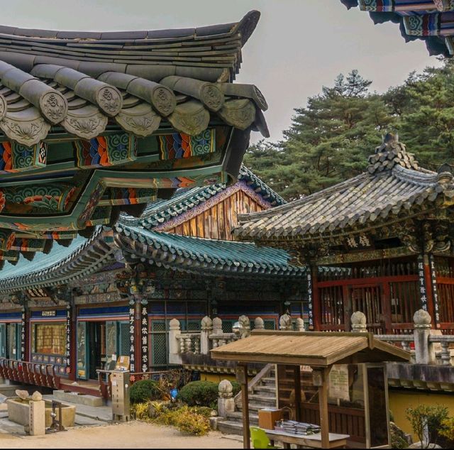 가을 단풍 여행 '울산 석남사'