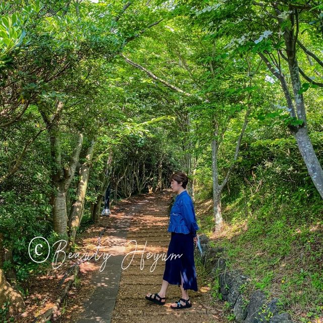 제주공항근처 가볼만한곳인 도두봉