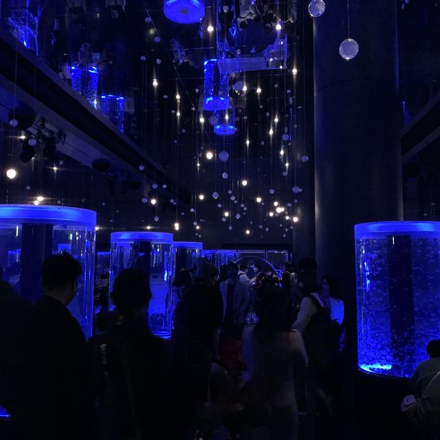 【東京】NAKED スターアクアリウム