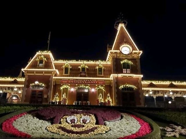    迪士尼Christmas 🎄🎇😊