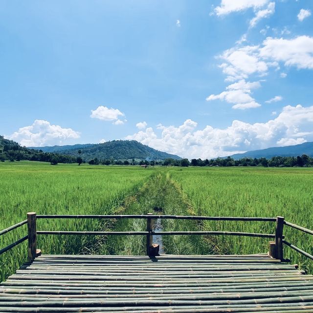 สะพานทุ่งนาแห่งร่องเขานครชุม