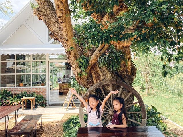 คาเฟ่ในสวน Pin Farm&Cafe @ขอนแก่น