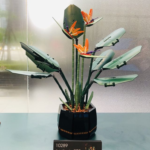 💐樂高植感溫室｜LEGO X CNFlower｜快閃活動，超逼真！大人小孩都會愛！😍