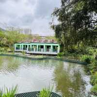 荃灣城門谷公園