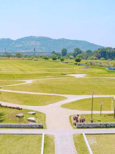 대구 꽃구경하기 좋은 곳, 하중도(금호꽃섬)