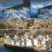 久違的海洋公園！